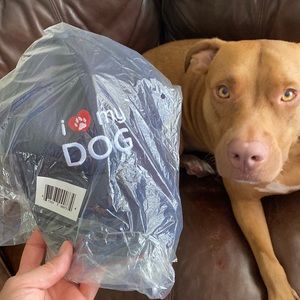 I love my dog 🐕 ♥️🐾🧢 baseball cap NWT
